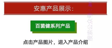 安惠产品全览与会员专享折扣指南 享受3至8.5折巨惠文化